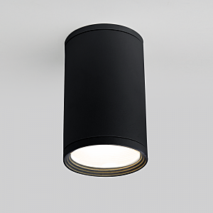 светильник накладной Light 2101 (35128/H) черный Elektrostandart Light 2101