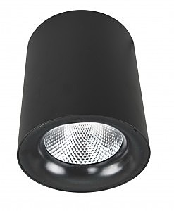 светильник накладной A5112PL-1BK Arte Lamp Facile