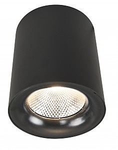 светильник накладной A5118PL-1BK Arte Lamp Facile