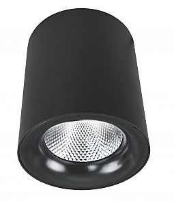 светильник накладной A5130PL-1BK Arte Lamp Facile