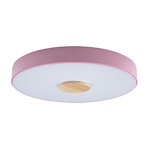 светильник потолочный 10003/24 Pink Loft It Axel