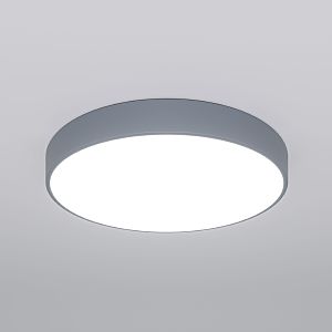 светильник потолочный 90320/1 серый Eurosvet Entire