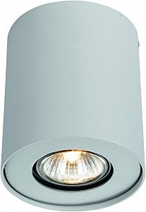 светильник накладной A5633PL-1WH Arte Lamp Falcon